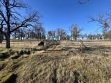 22884 Antler Road - Photo 22