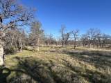 22884 Antler Road - Photo 8