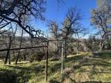 22884 Antler Road - Photo 9
