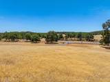 17080 Hooker Creek Road - Photo 82