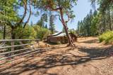 181 Price Creek Road - Photo 28