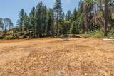 181 Price Creek Road - Photo 30