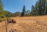 181 Price Creek Road - Photo 54