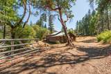 181 Price Creek Road - Photo 59