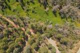 181 Price Creek Road - Photo 72