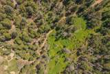 181 Price Creek Road - Photo 73