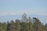 7954 Placer Road - Photo 96
