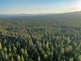  Pilgrim Creek Road - Photo 2
