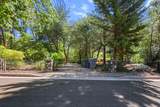 1941 Herbscenta Lane - Photo 38