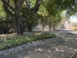 2020 Olive Avenue - Photo 24