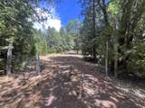29544 Fenders Ferry Road - Photo 29