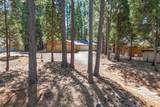 7355 Shasta Forest Drive - Photo 1