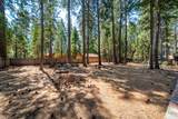 7355 Shasta Forest Drive - Photo 21