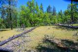 230 Shasta Springs Road - Photo 10