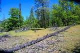 230 Shasta Springs Road - Photo 11