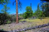 230 Shasta Springs Road - Photo 12