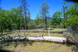 230 Shasta Springs Road - Photo 13