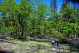 230 Shasta Springs Road - Photo 14