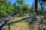 230 Shasta Springs Road - Photo 15