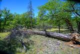 230 Shasta Springs Road - Photo 16