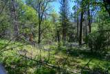 230 Shasta Springs Road - Photo 22