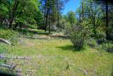 230 Shasta Springs Road - Photo 3