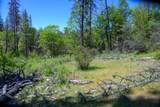 230 Shasta Springs Road - Photo 4