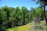 230 Shasta Springs Road - Photo 8