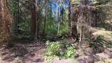 Lot 10&11 Frontier Road - Photo 8