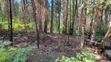 Lot 10&11 Frontier Road - Photo 9