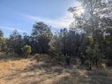 000 Rocky Top Road - Photo 4
