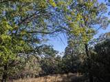 000 Rocky Top Road - Photo 6
