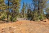 30661 State Hwy 3 - Photo 39