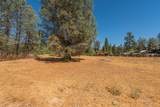 30661 State Hwy 3 - Photo 42