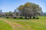 359 Co Rd 306 - Photo 71