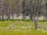 359 Co Rd 306 - Photo 73