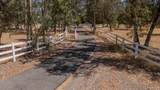 3159 Shane Lane - Photo 18