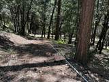 32400 Dickerson Way - Photo 20