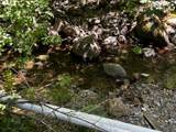 32400 Dickerson Way - Photo 26