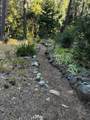 32400 Dickerson Way - Photo 41