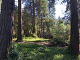 32400 Dickerson Way - Photo 44