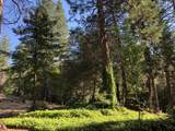 32400 Dickerson Way - Photo 45