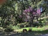 32400 Dickerson Way - Photo 49