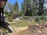 21590 Viola Street - Photo 10