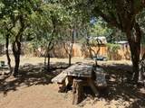 21590 Viola Street - Photo 16