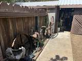 21590 Viola Street - Photo 23