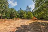 171 Connor Creek Road - Photo 10