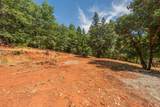 171 Connor Creek Road - Photo 27