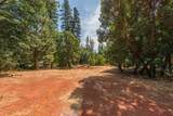 171 Connor Creek Road - Photo 32