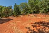 171 Connor Creek Road - Photo 33